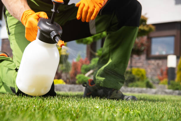 Best Pest Control Near Me  in Lake Holiday, IL