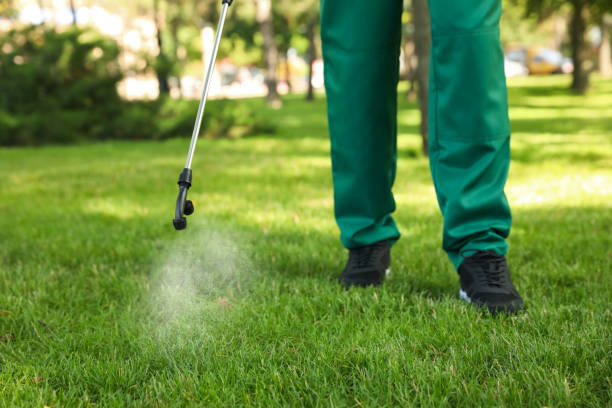 Best Affordable Pest Control Services  in Lake Holiday, IL