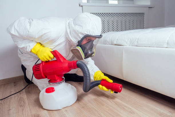 Professional Pest Control in Lake Holiday, IL