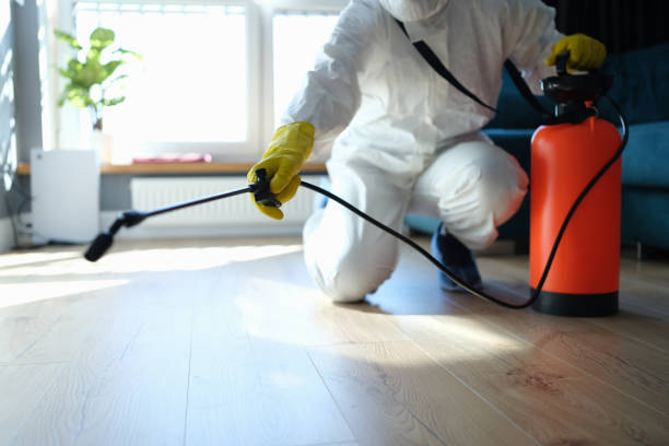 Best Termite Control Services  in Lake Holiday, IL