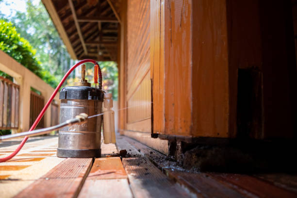 Best Mosquito Control Services  in Lake Holiday, IL