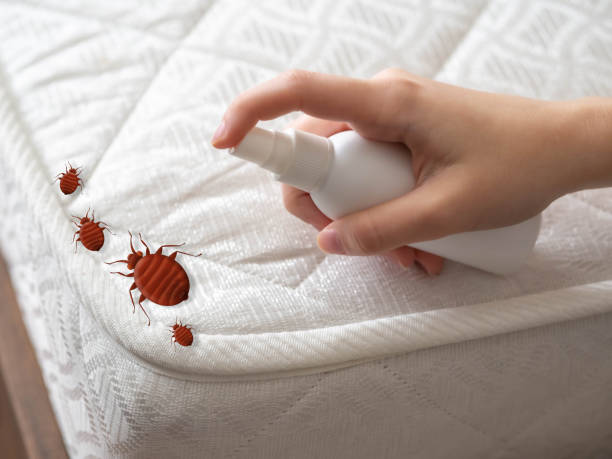 Best Best Pest Control Companies  in Lake Holiday, IL