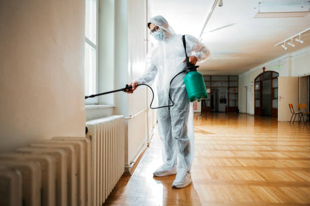 Best Cockroach Control Services  in Lake Holiday, IL